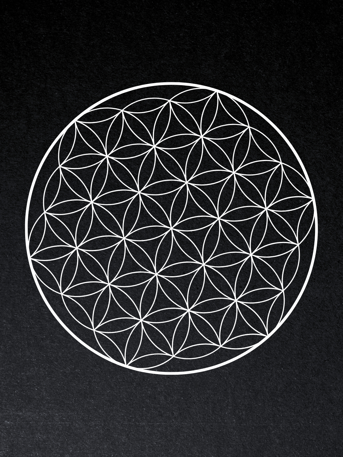 Flower Of Life Canvas