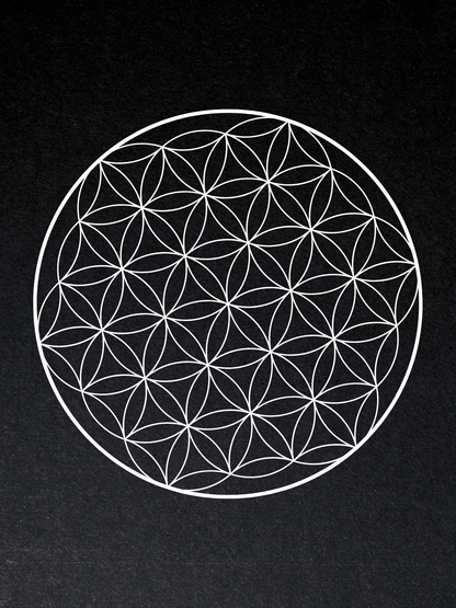 Flower Of Life Canvas